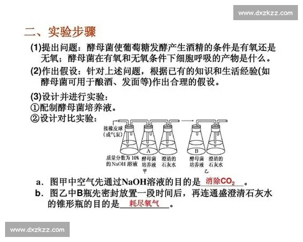 以菌比赛为核心推动生物创新与全民科学探索新风潮实践发展蓝图之路